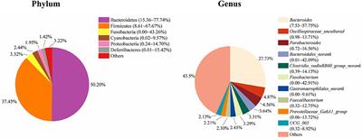 Cecal Microbiota Modulates Fat Deposition in Muscovy Ducks